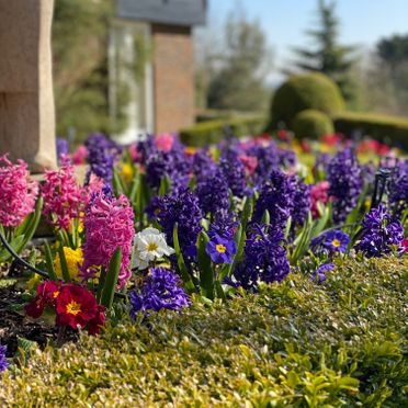 Garden Planting