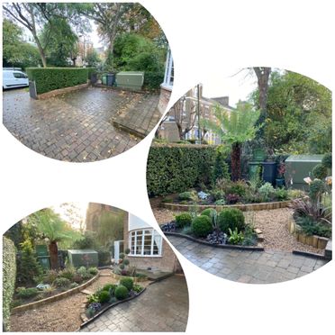 Garden Design and Landscaping