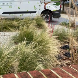 Garden Planting and Maintenace