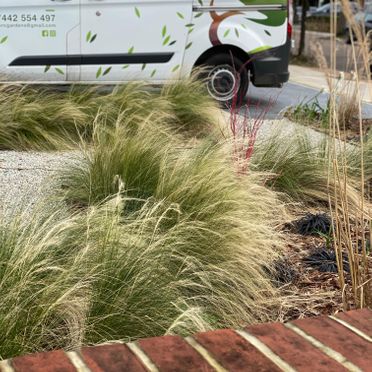Garden Planting and Maintenace
