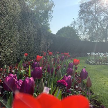 Gardening Services