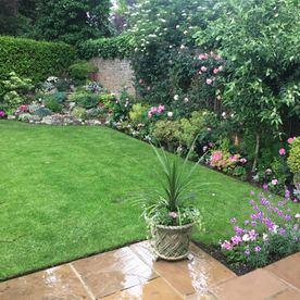 Lawn Care and Garden Planting Services