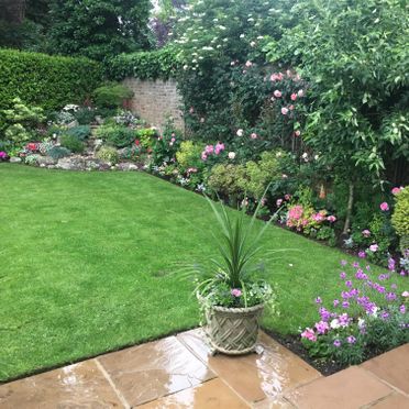 Lawn Care and Garden Planting Services