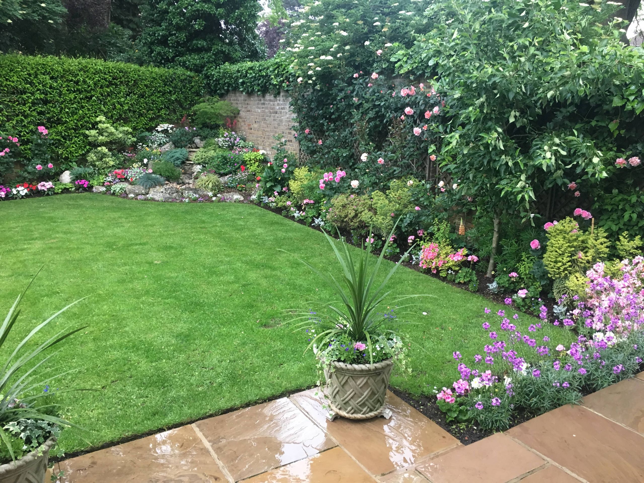 Professional Gardening Services in North London | Di Toro Gardens Ltd