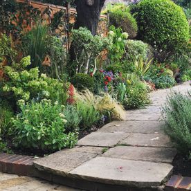 Garden Planting and Borders