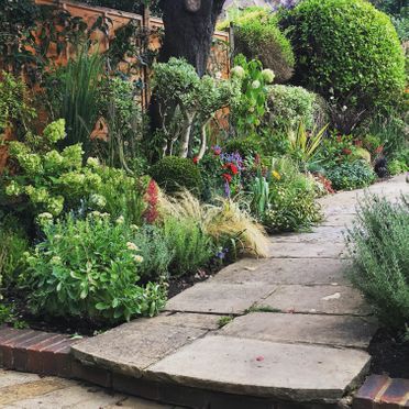 Garden Planting and Borders
