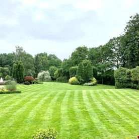 Lawn Care