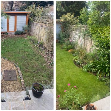 Garden Design and Landscaping
